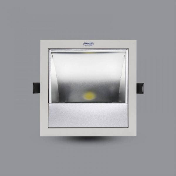 Đèn LED Downlight chiếu tranh 30W âm trần PRDXX176L30